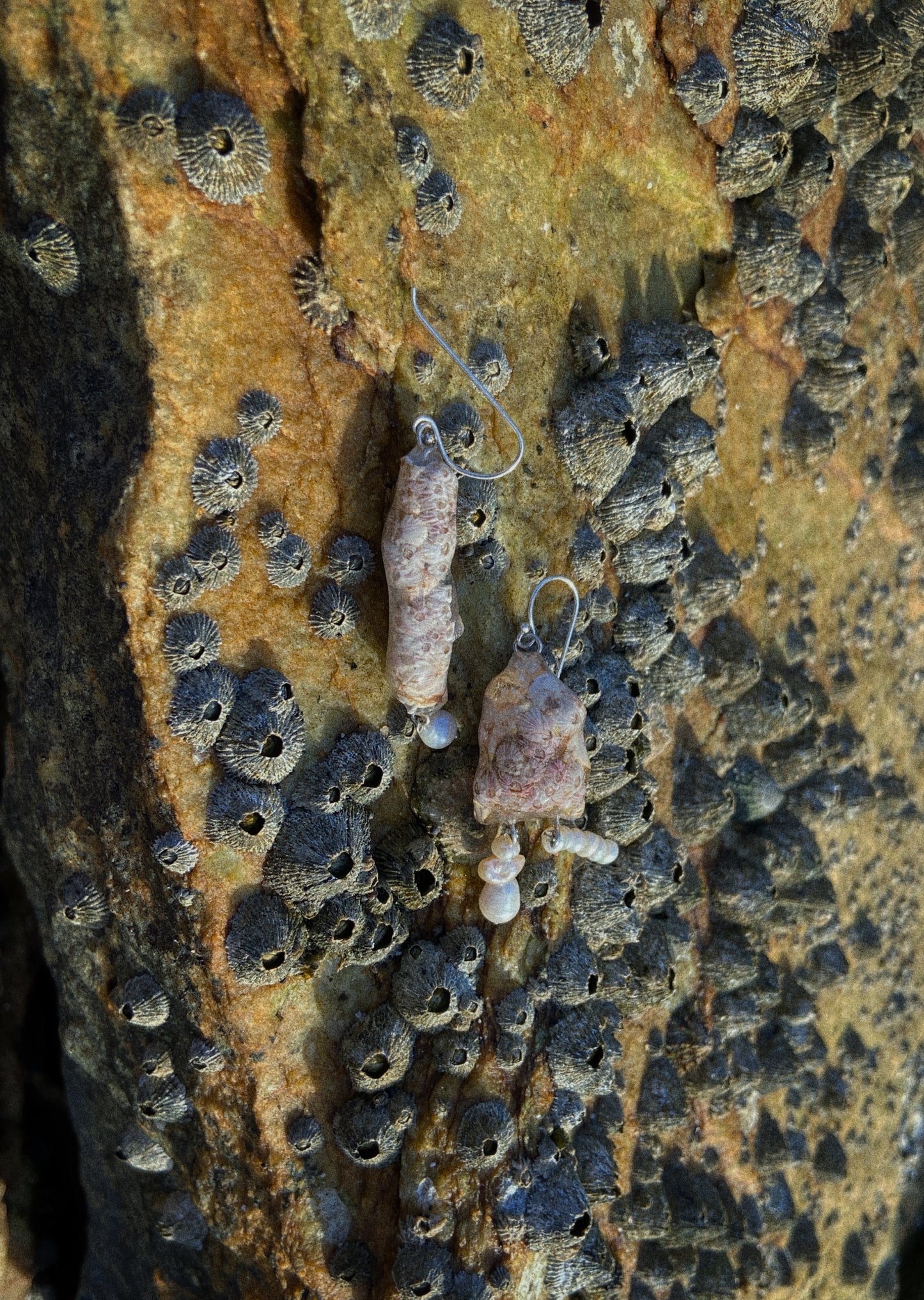 Barnacled Lobster Leg Dangles