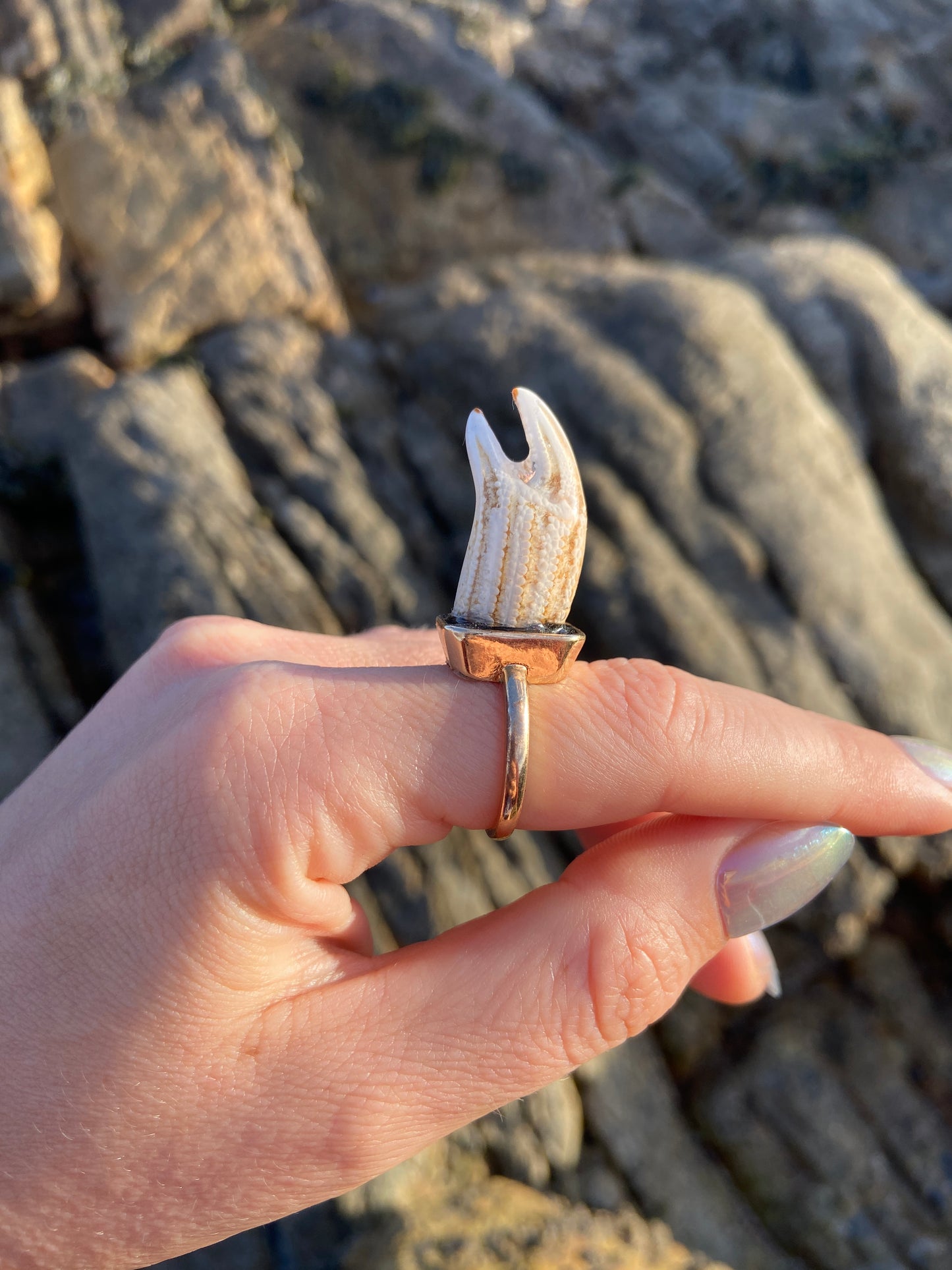 Crab Claw Ring | Size Q