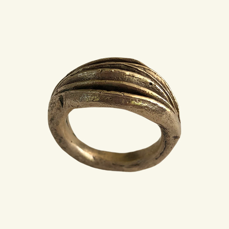 Seedpod Ring in Jewelers Bronze