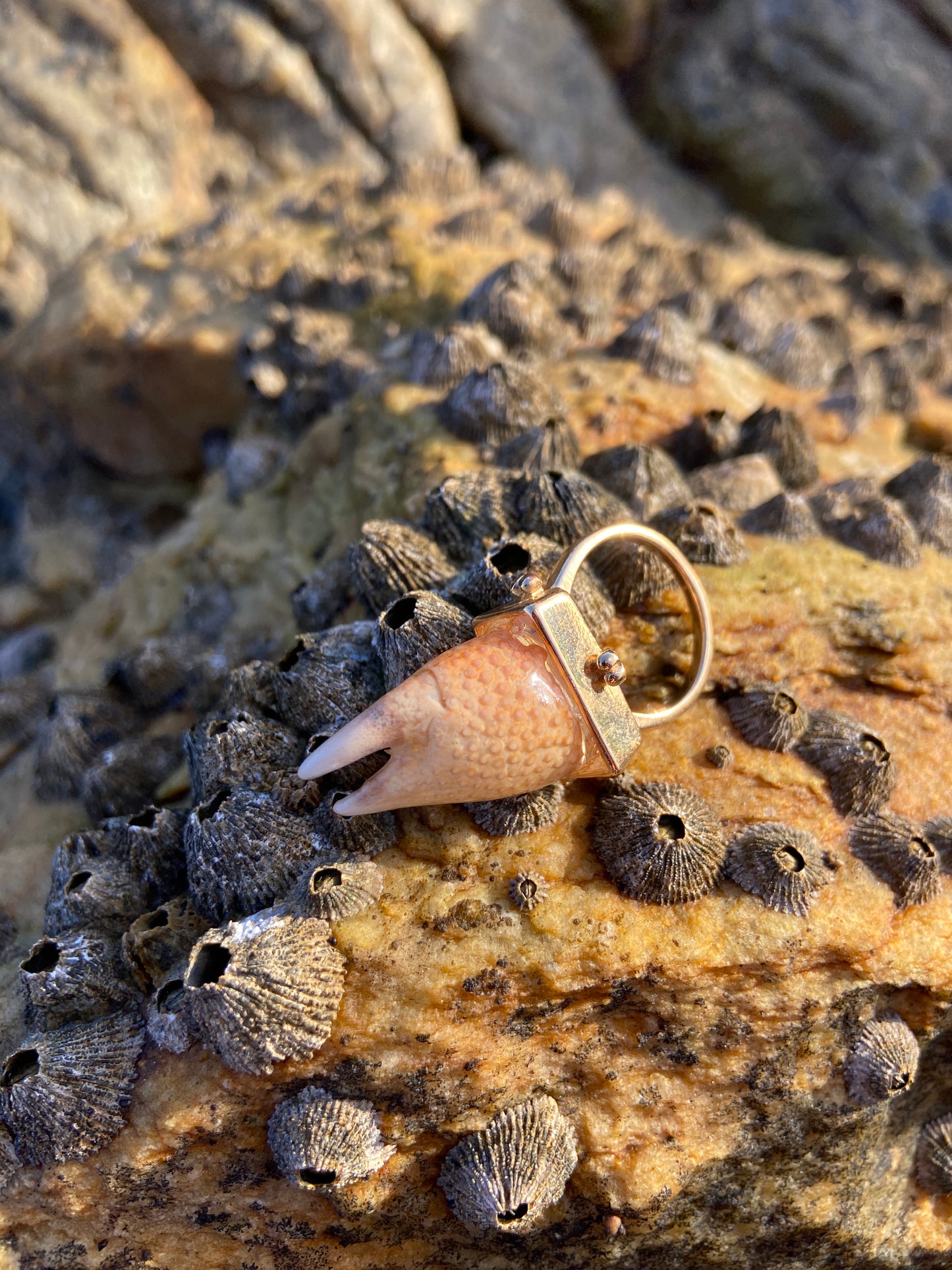 Crab Claw Ring | Size Q
