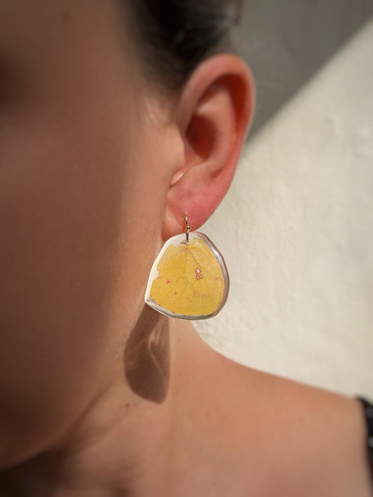 February | Clouded Sulphur Dangles