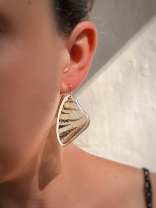 April |  Scarce Swallowtail Dangles