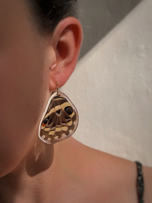 January | Citrus Swallowtail Dangles