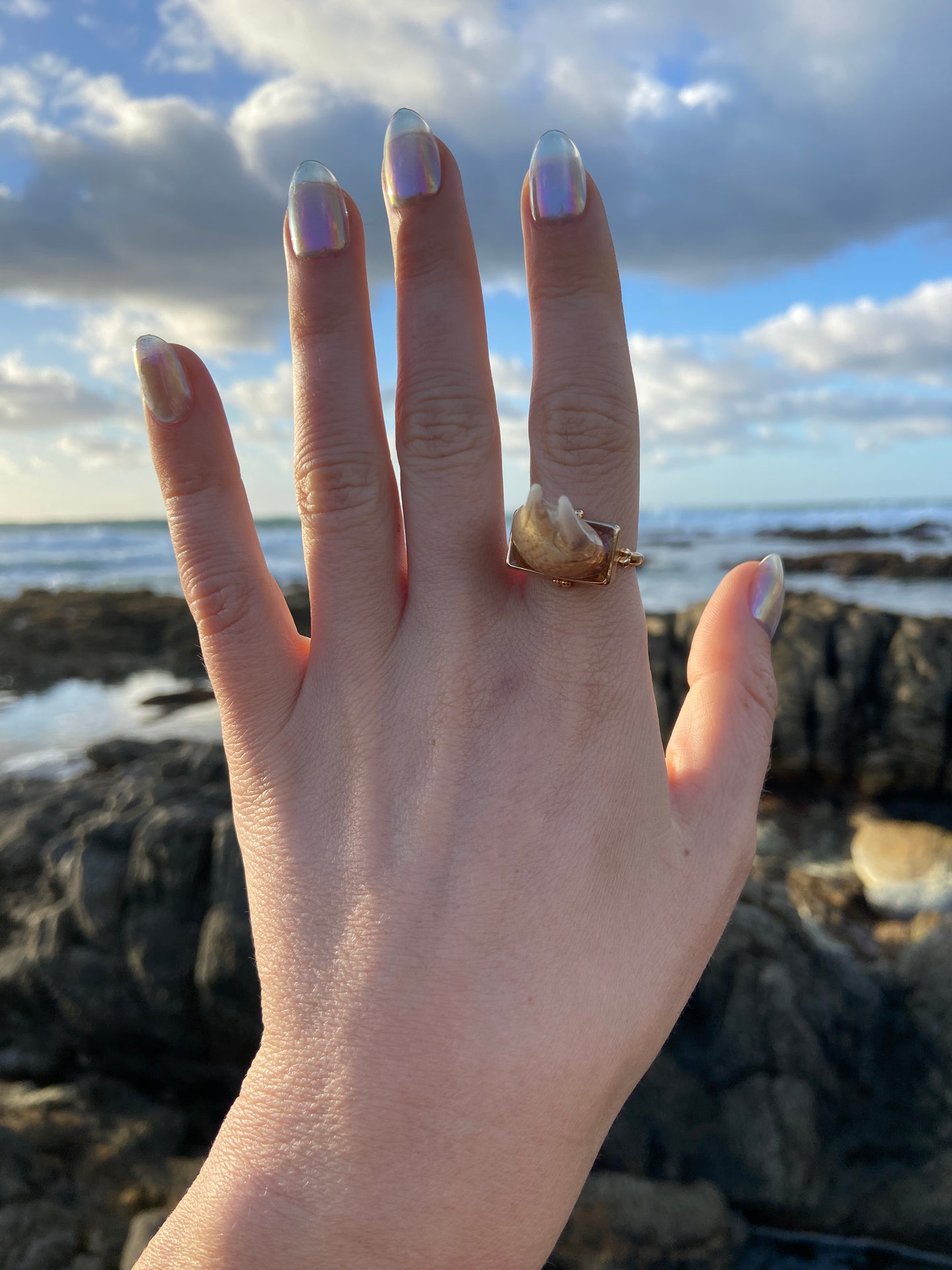 Crab Claw Ring | Size Q