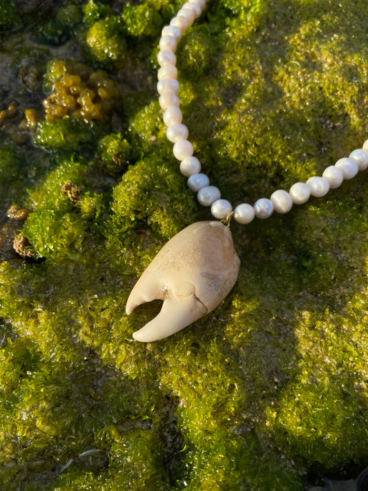 Lobster Claw on Freshwater Pearls