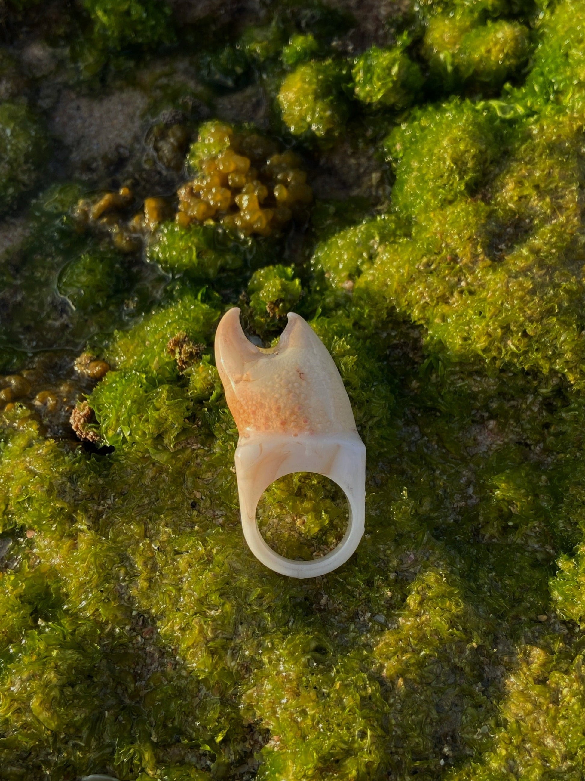 Ring with a unique design on a green, textured surface