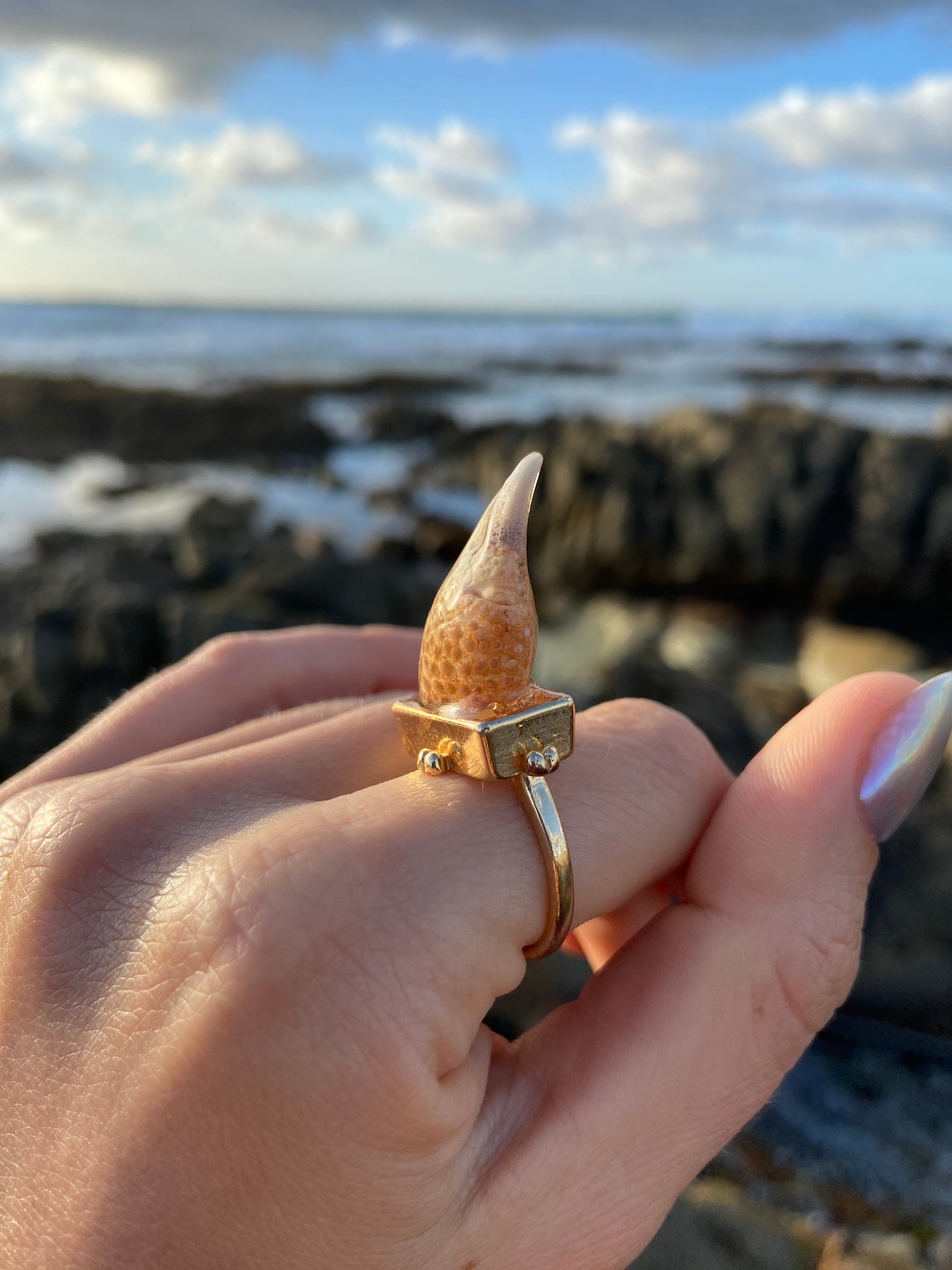 Crab Claw Ring | Size Q