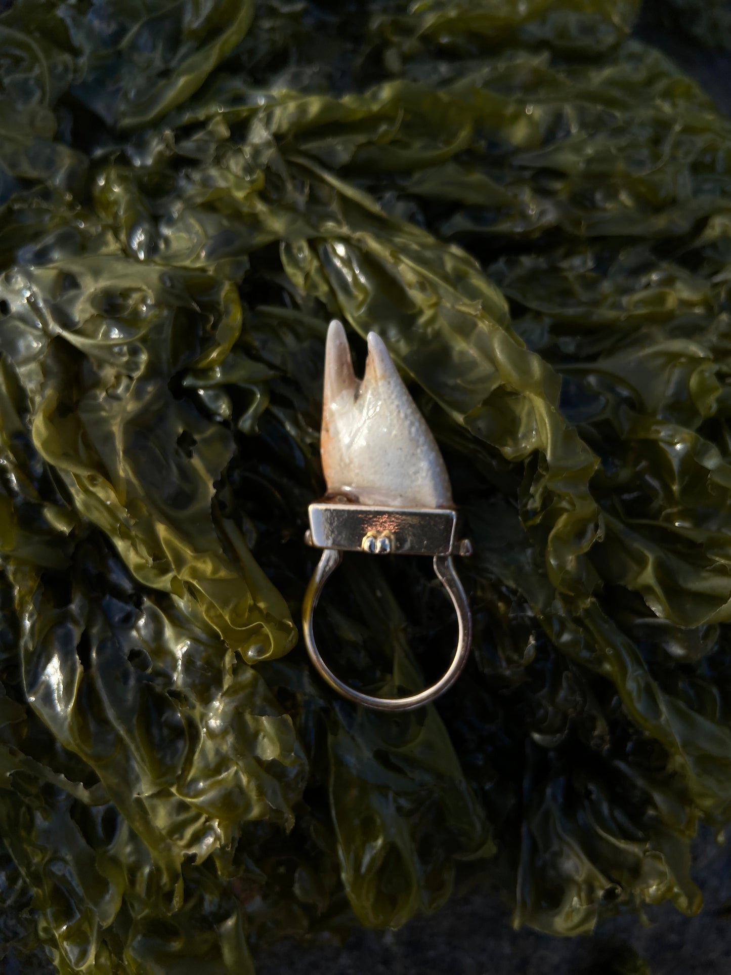 Crab Claw Ring | Size Q
