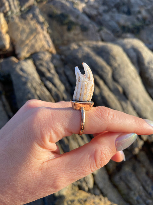 Crab Claw Ring | Size Q