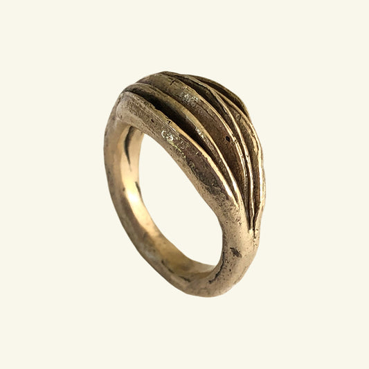 Seedpod Ring in Jewelers Bronze